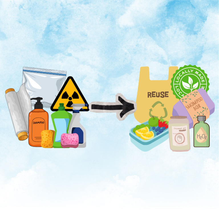 Simple Swaps for Everyday Products to Save Money and Help the Environment! – Part 2